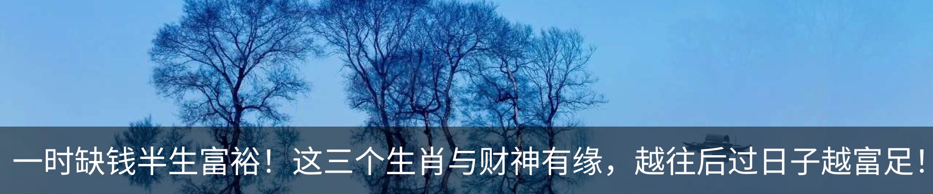 新闻动态